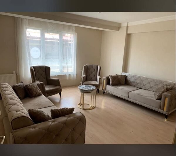 Living room sofas